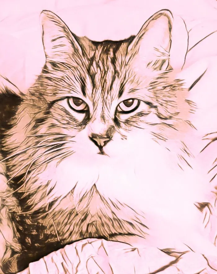 Grendel The Cat.   That Look When You Know He Wants Dinner And You're Not Moving Fast Enough. But You Know He Knows You're Just Messing With Him Because He's A Spoiled Brat.    Ink, Pencil, Chalk, Watercolor