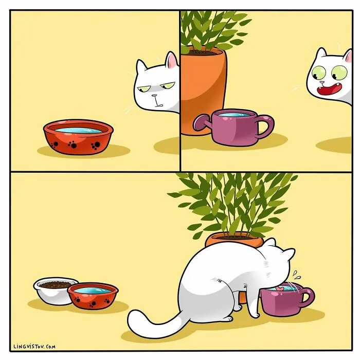 Esta artista ilustra cómo es vivir con un gato (25 nuevas imágenes)