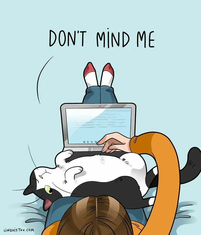 Artist Illustrates What It's Like To Live With A Cat (30 New Pics)