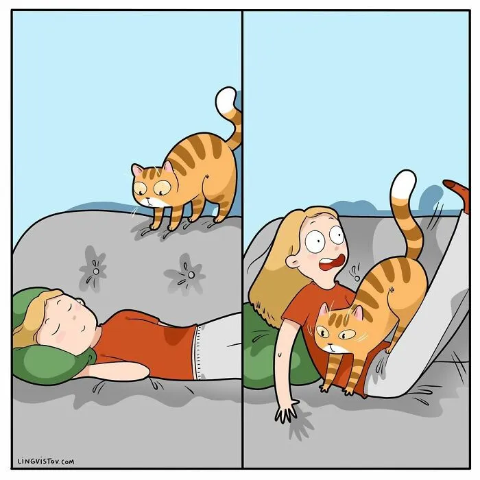 Esta artista ilustra cómo es vivir con un gato (25 nuevas imágenes)