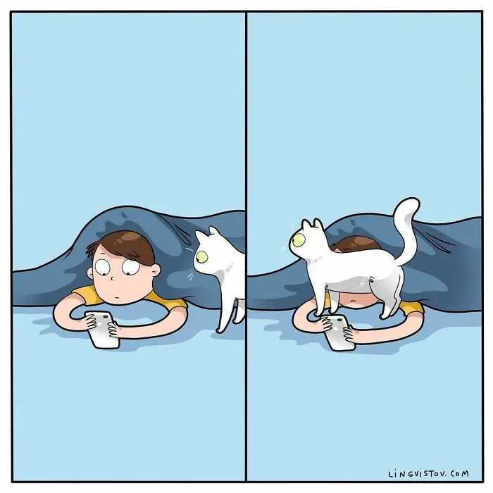 Esta artista ilustra cómo es vivir con un gato (25 nuevas imágenes)