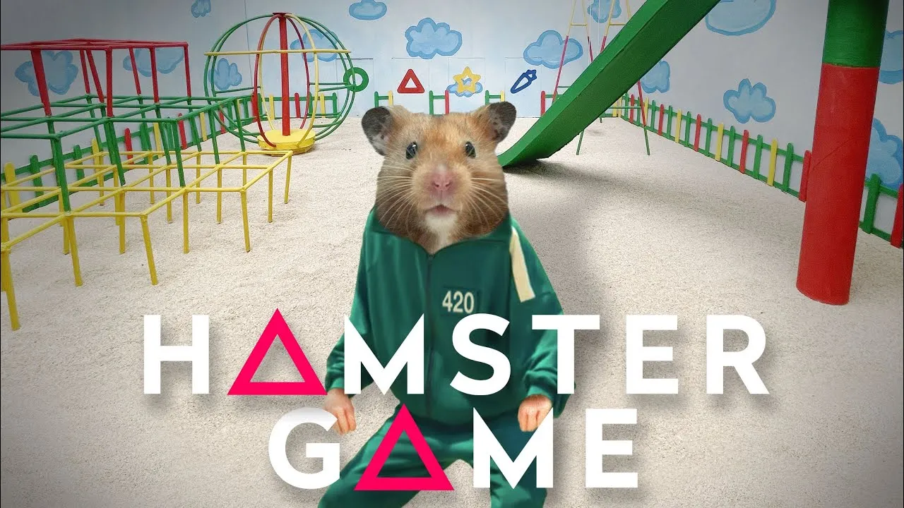 Squid Game Replayed With My Hamster