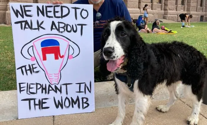 45 Of The Best Pro-Choice Posters In Response To Texas' Abortion Law