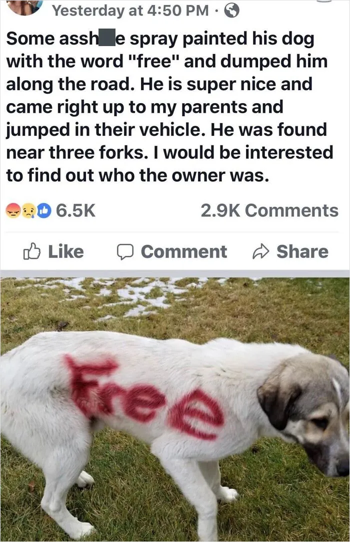 Absolute Human Waste