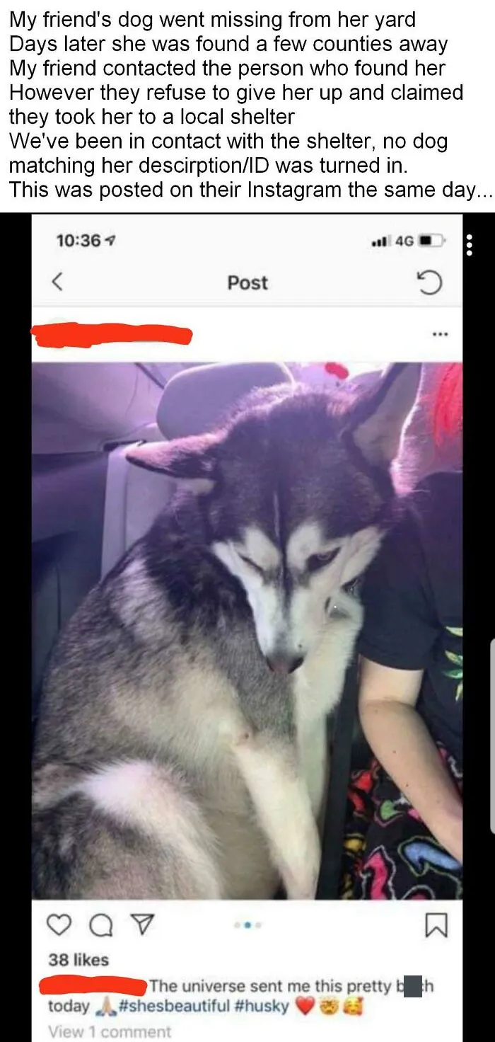 This Person Who Refuses To Return My Friend's Dog