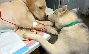 50 Posts To Lift Your Spirits Up When You're Feeling Down (New Pics)