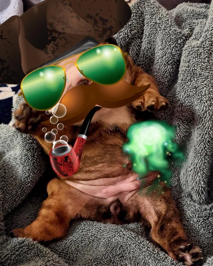 Dunno Wot A Puppy Is But-