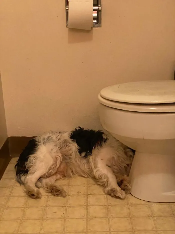 Fav Sleeping Spot