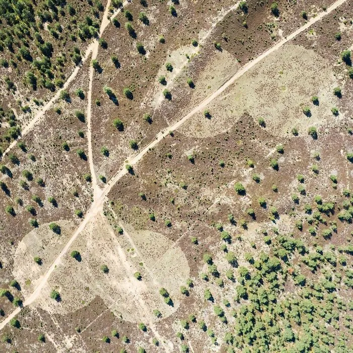 Let Me Show You The Beautiful Views Of Lithuania From A Bird's-Eye View (100 Pics)