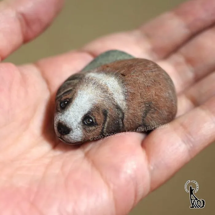 Japanese Artist Turns Blunt Stones Into Adorable Animals (70 New Pics)
