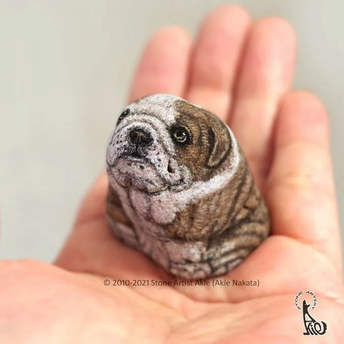 Japanese Artist Turns Blunt Stones Into Adorable Animals (70 New Pics)