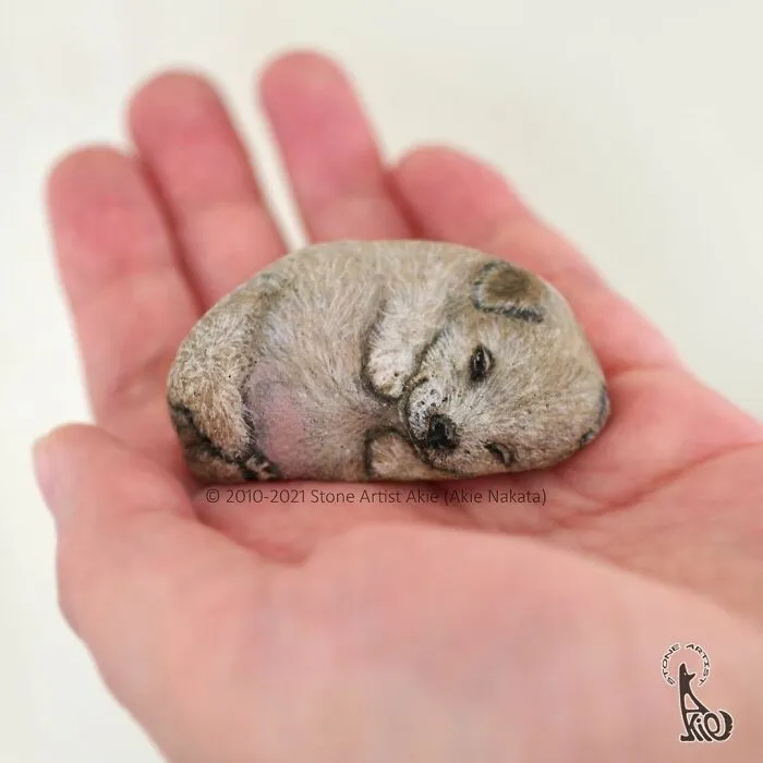 Japanese Artist Turns Blunt Stones Into Adorable Animals (70 New Pics)