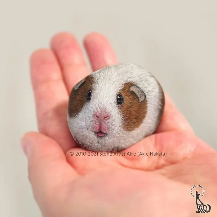 Japanese Artist Turns Blunt Stones Into Adorable Animals (70 New Pics)