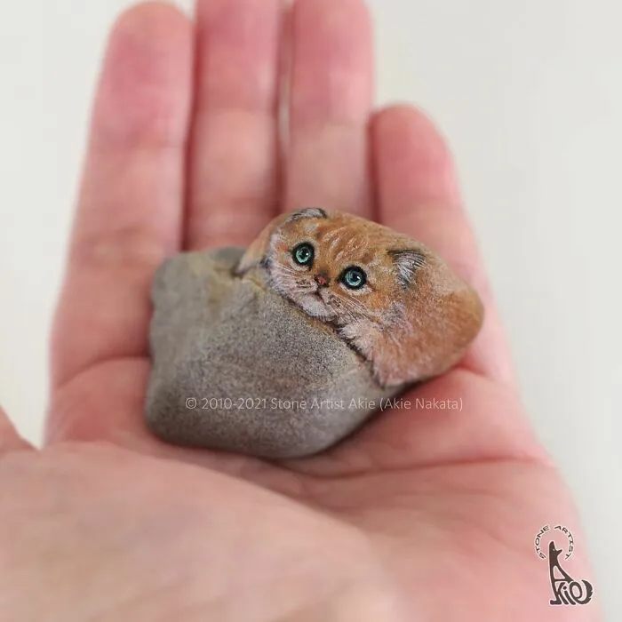 Japanese Artist Turns Blunt Stones Into Adorable Animals (70 New Pics)