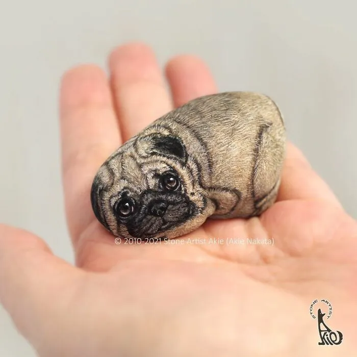 Japanese Artist Turns Blunt Stones Into Adorable Animals (70 New Pics)