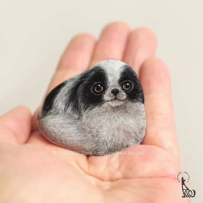Japanese Artist Turns Blunt Stones Into Adorable Animals (70 New Pics)