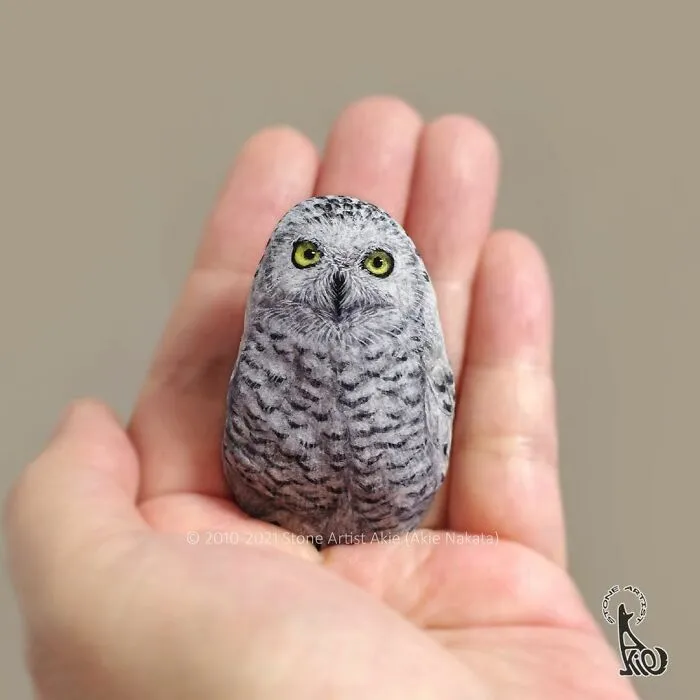 Japanese Artist Turns Blunt Stones Into Adorable Animals (70 New Pics)