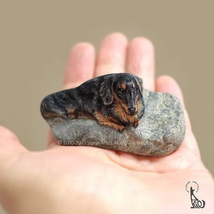 Japanese Artist Turns Blunt Stones Into Adorable Animals (70 New Pics)