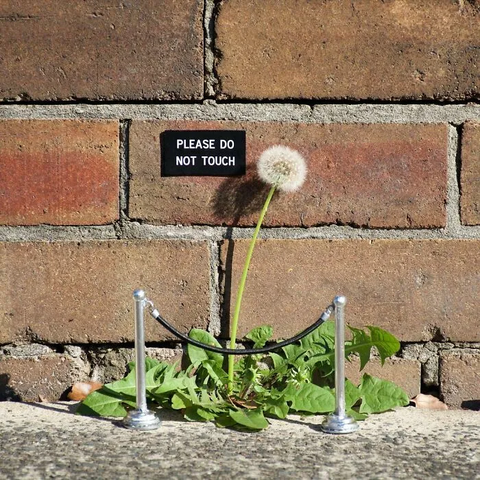 Artist Hides Clever And Funny Signs Around His City For People To Find (30 Pics)