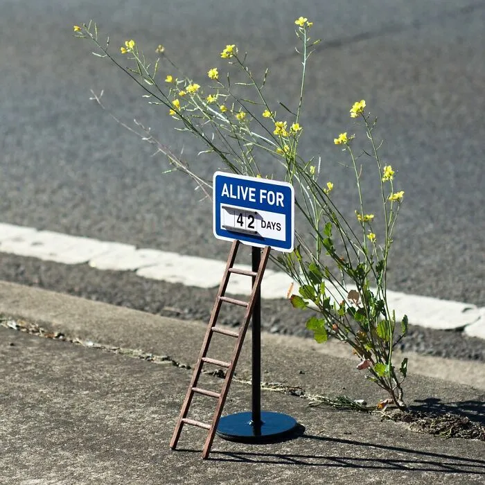 Artist Hides Clever And Funny Signs Around His City For People To Find (30 Pics)