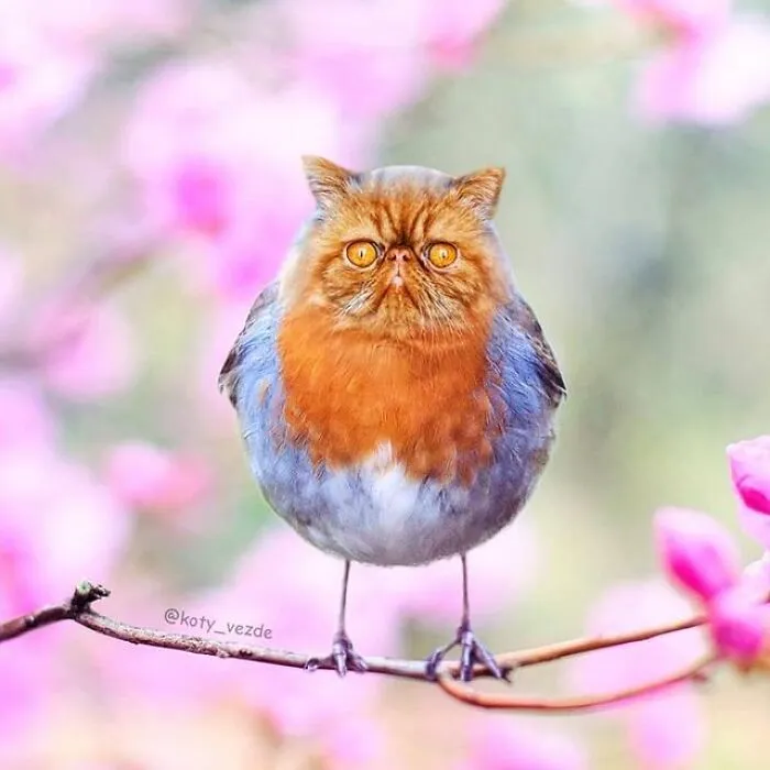 Artist Makes Montages With Cat Faces On Anything And The Result Is Impressive (New Pics)