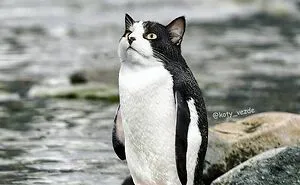 Person Shows What Everything Would Look Like If It Had A Cat’s Face And The Result Is Funny Yet Disturbing (98 New Pics)