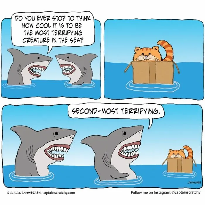 This Artist Creates Fun Comics That Will Probably Make You Smile (30 Pics)
