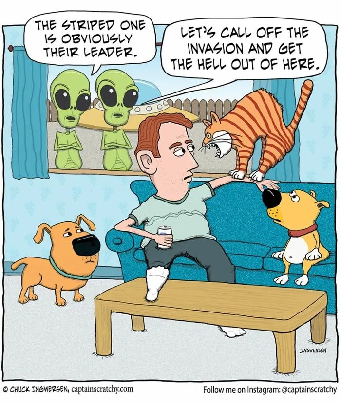 This Artist Creates Fun Comics That Will Probably Make You Smile (30 Pics)