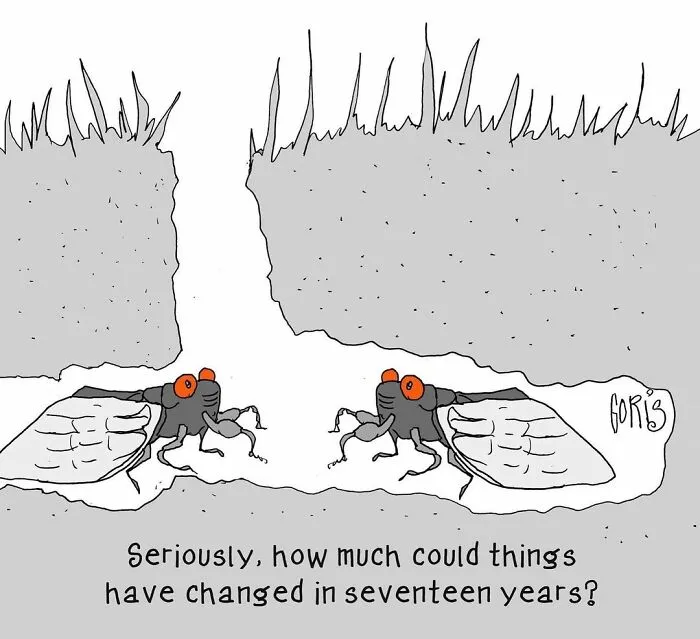 This Artist Makes Comics About Silly Situations (70 Pics)