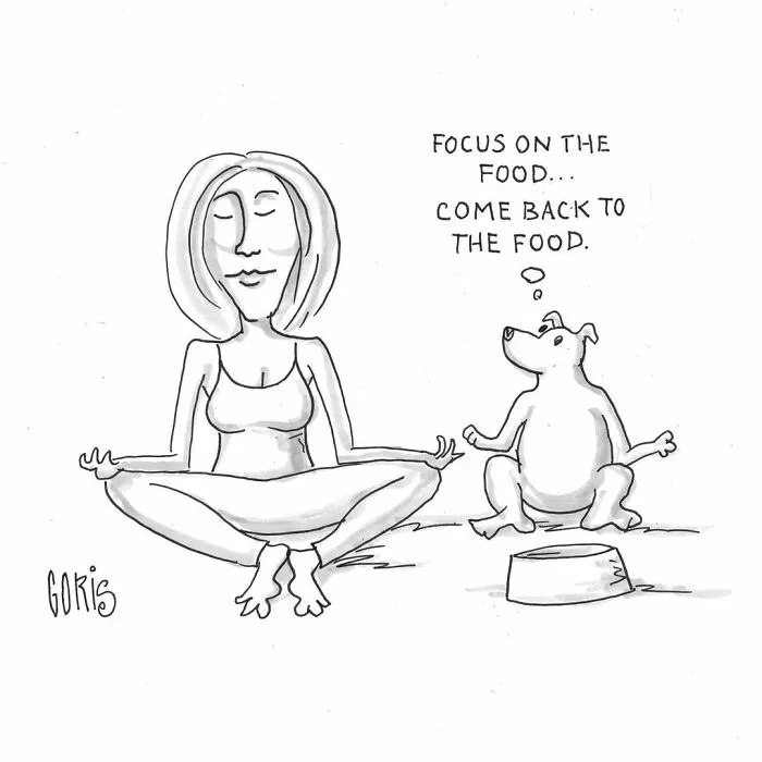 This Artist Makes Comics About Silly Situations (70 Pics)