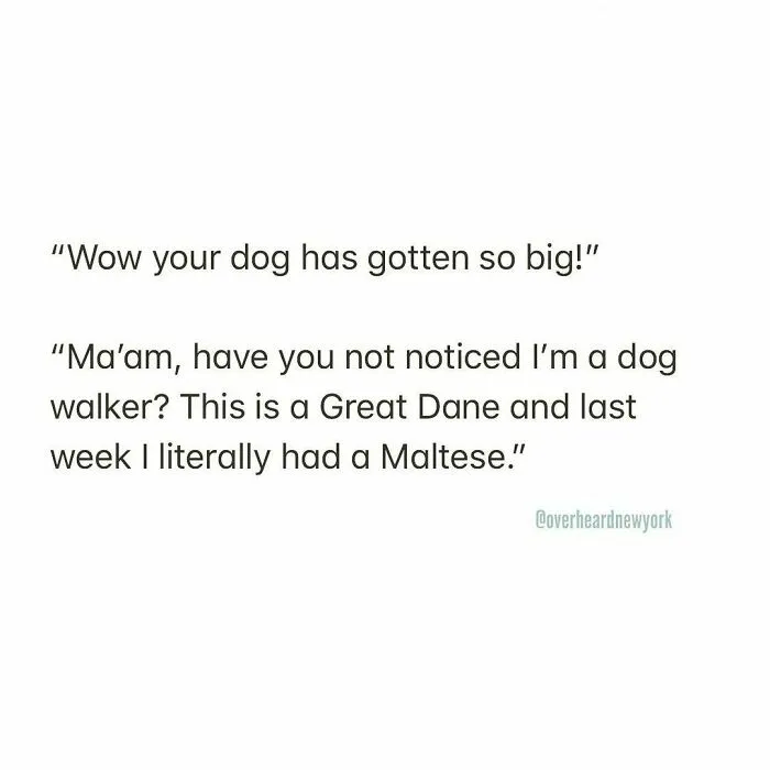 40 Hilarious Conversations That People Overheard In New York And Decided They’re Too Good Not To Share (New Pics)