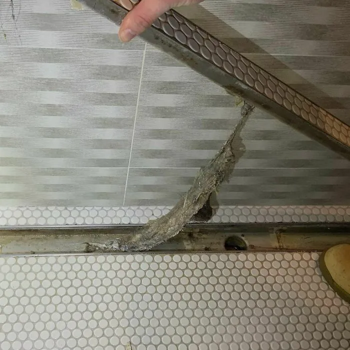 Remember To Clean Your Shower Drain