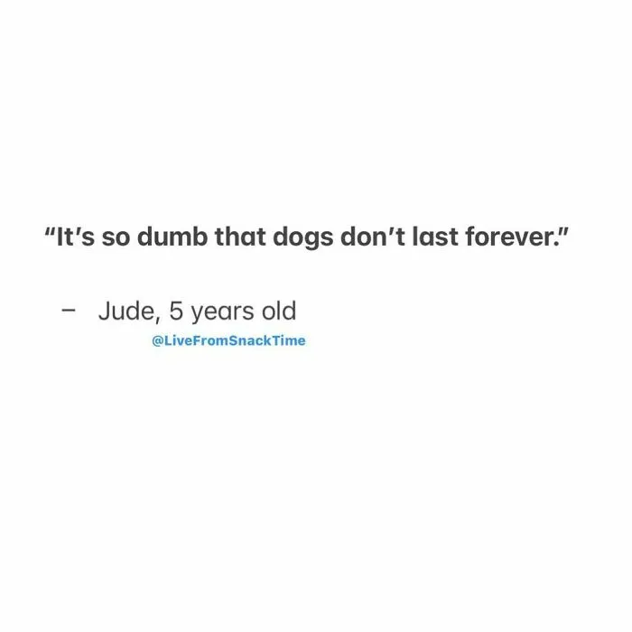 NYC School Teacher Shares Wholesome And Hilarious Quotes From Little Kids, And We Wish We Had Stayed That Pure (50 New Pics)