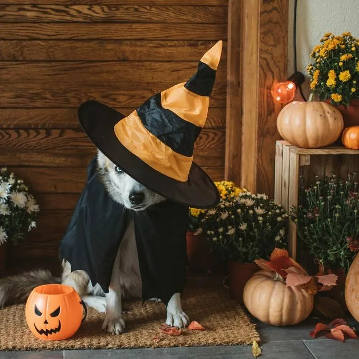 Spooky