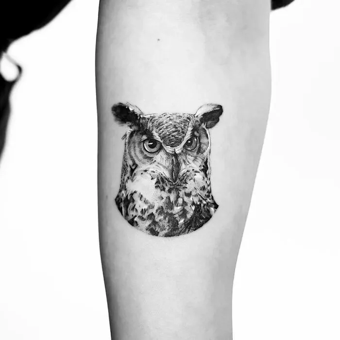 Owl