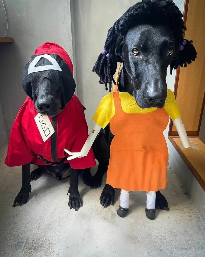 Recently We Have Been Watching This TV Show. I Whipped Up A Quick Costume Just For Fun. It’s An Easy Costume To Make For Halloween If You Run Out Of Ideas