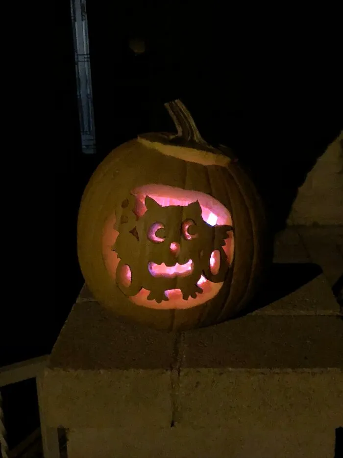 Boo, Who?