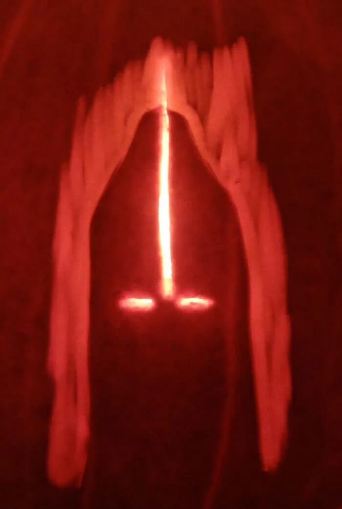 Kylo Ren
