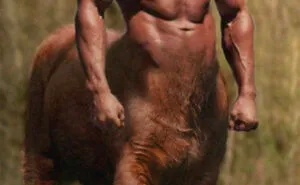 Designers Combined Animals Together And Some Of Them Are So Bad They’re Funny (30 Pic)