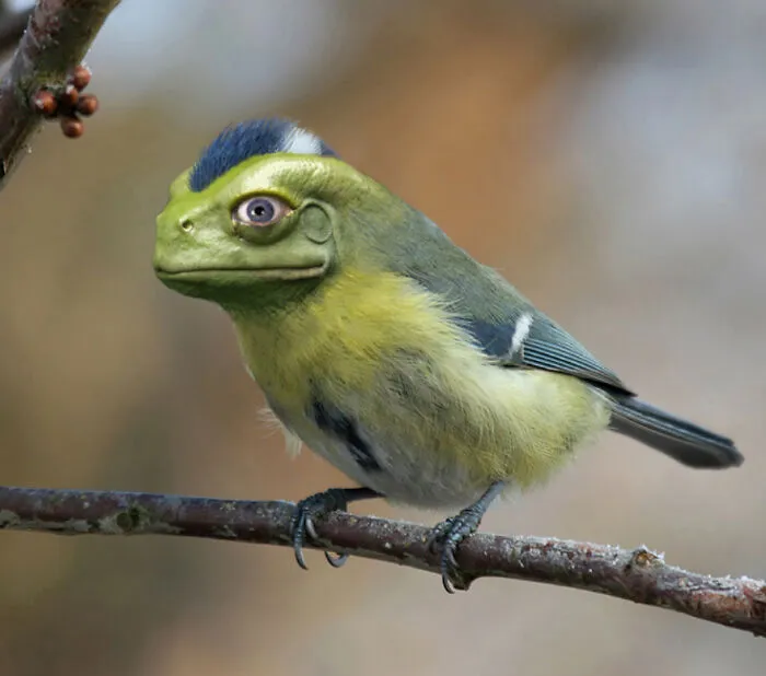 Designers Combined Animals Together And Some Of Them Are So Bad They’re Funny (30 Pic)