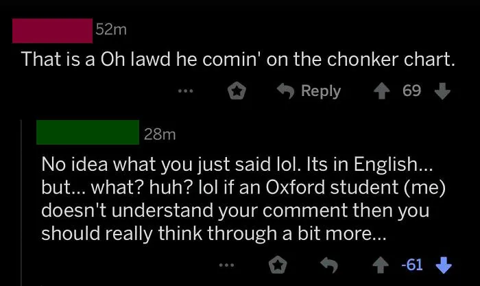 On A Video Of A Fat Cat