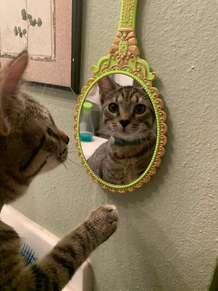 Pretty Fiona