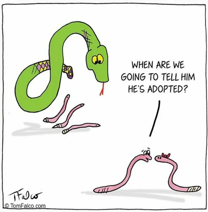 One-Panel Comics Filled With Absurd Situations And Silly Humor By Tomversation (30 Pics)