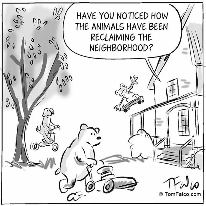One-Panel Comics Filled With Absurd Situations And Silly Humor By Tomversation (30 Pics)
