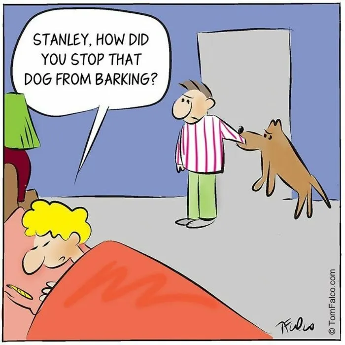 One-Panel Comics Filled With Absurd Situations And Silly Humor By Tomversation (30 Pics)