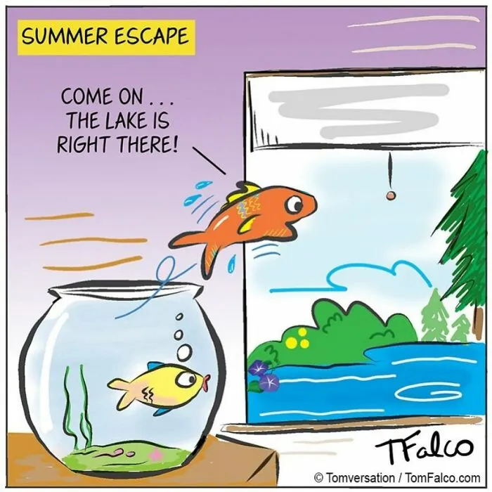 One-Panel Comics Filled With Absurd Situations And Silly Humor By Tomversation (30 Pics)