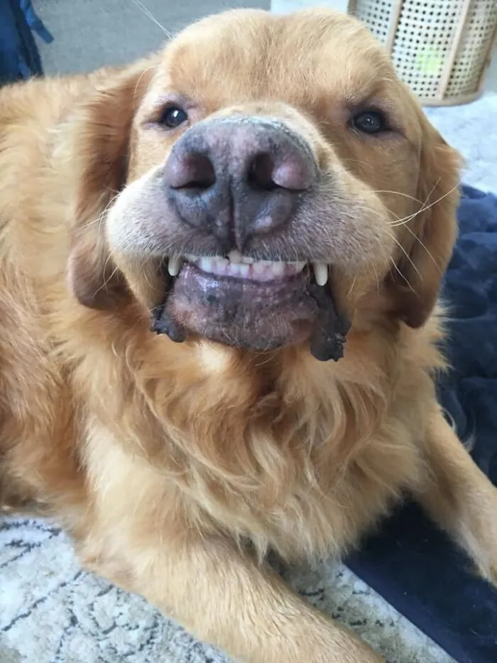 'smile'