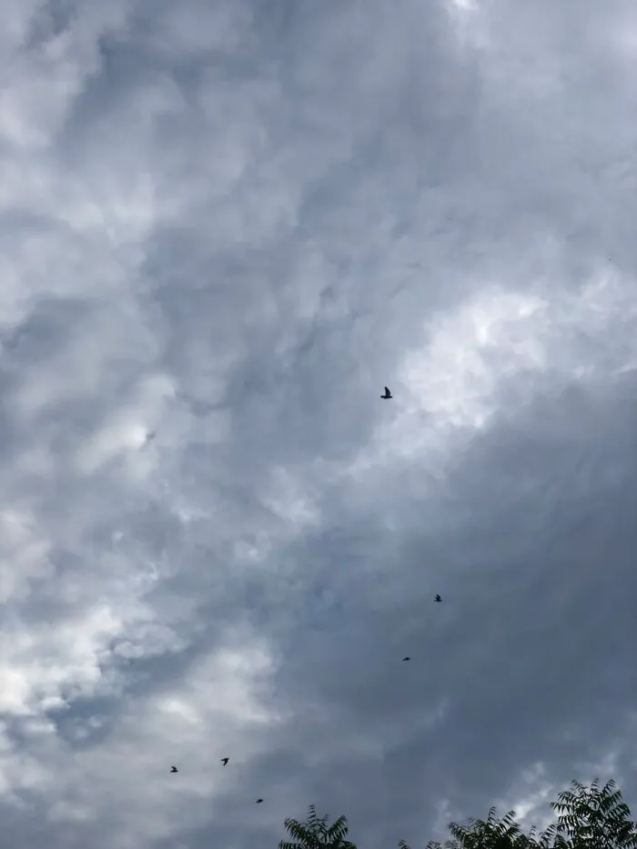 The Clouds Look Like It’s In A Storm