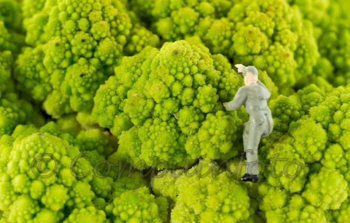 35 Photos Of My Miniature Worlds And The People Who Live There (New Pics)