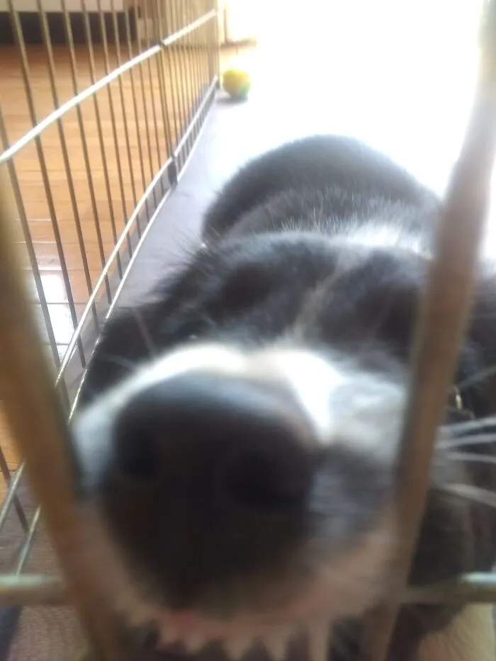 Sweet, Sweet Luna